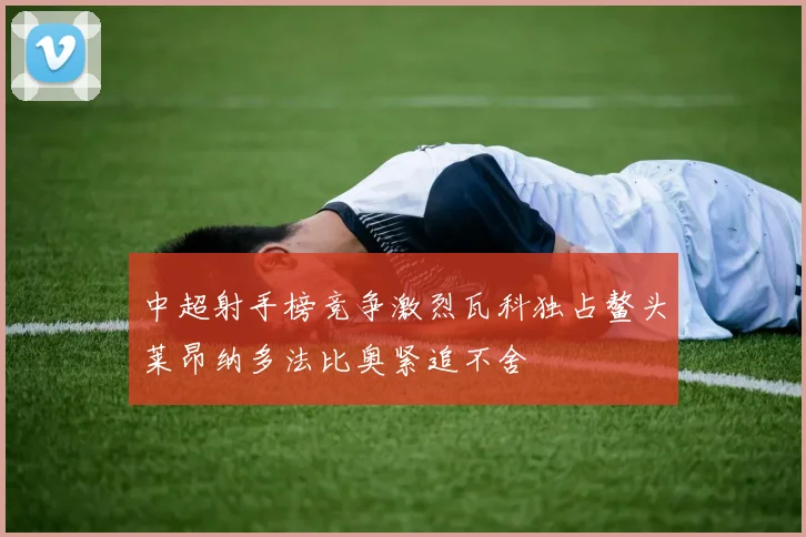 中超射手榜竞争激烈瓦科独占鳌头莱昂纳多法比奥紧追不舍