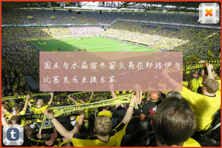 国米与水晶宫冬窗交易在即格伊与比塞克或互换东家