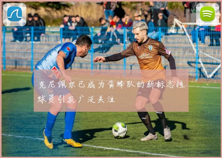 克尼佩尔已成为黄蜂队的新标志性球员引发广泛关注