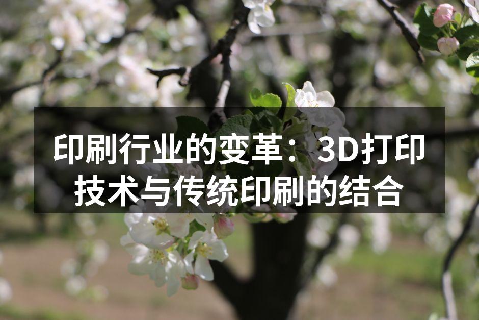 展示3D打印与传统印刷的结合