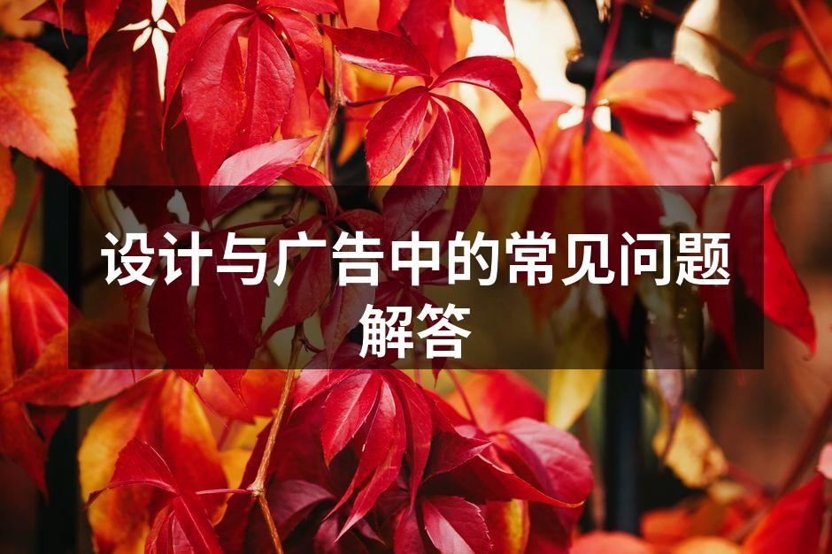 广告设计案例展示