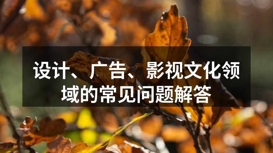设计原则的重要性